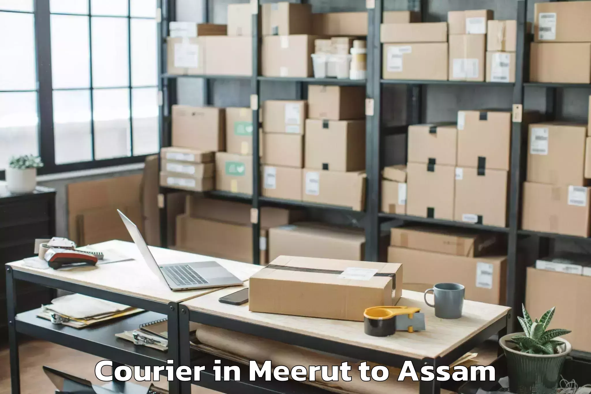 Expert Meerut to Rangapara Courier